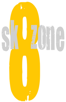 Sk8Zone